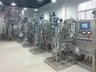 Трехступенчатый автоматический ферментер FZ-DS-10L-100L-1000L